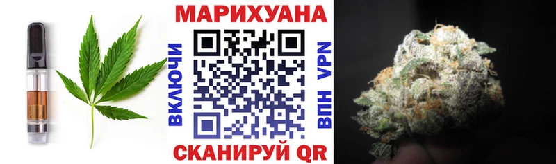 Купить  Кызыл  Canna-Cookies конопля 
